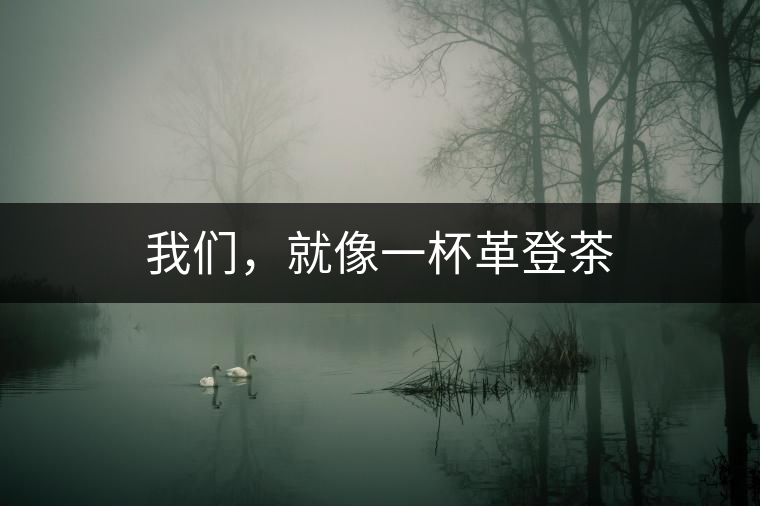 我們，就像一杯革登茶