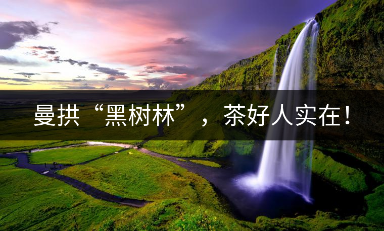 曼拱“黑樹林”，茶好人實在！