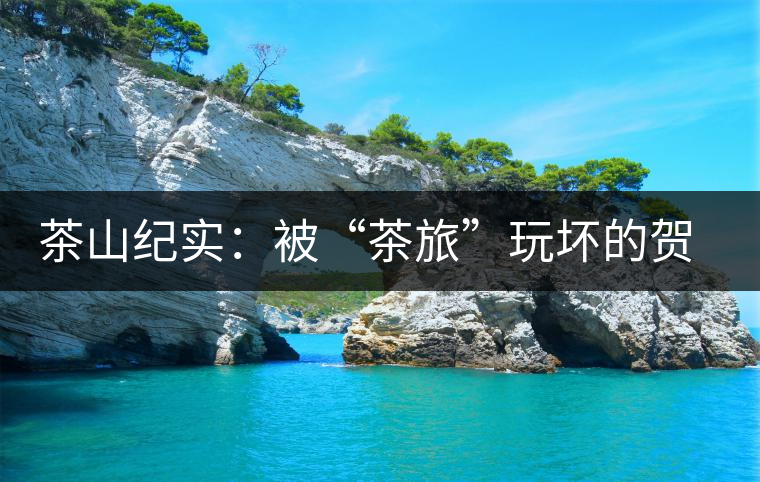 茶山紀(jì)實:被“茶旅”玩壞的賀開古茶園 茶山紀(jì)實:被“茶旅”玩壞的賀開古茶園