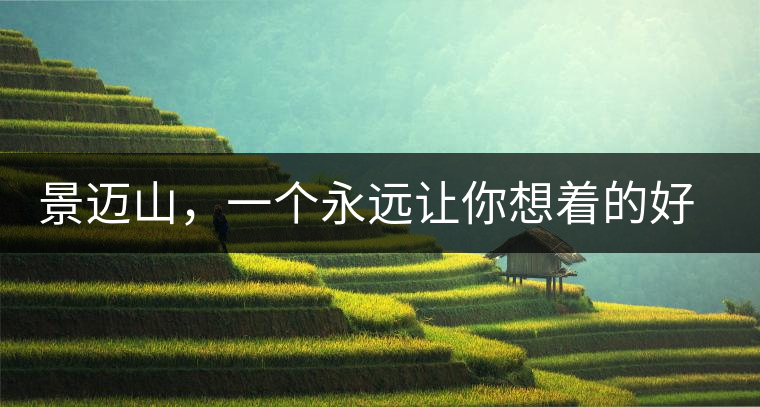 景邁山,一個(gè)永遠(yuǎn)讓你想著的好地方 景邁山,一個(gè)永遠(yuǎn)讓你想著的好地方