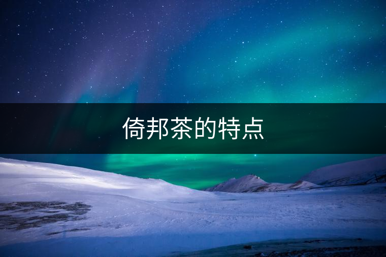 倚邦茶的特點 倚邦茶的特點