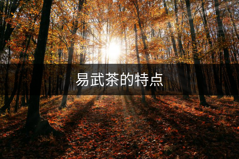 易武茶的特點(diǎn) 易武茶的特點(diǎn)