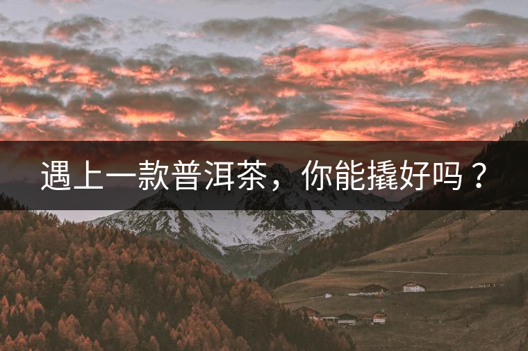 遇上一款普洱茶，你能撬好嗎 ？