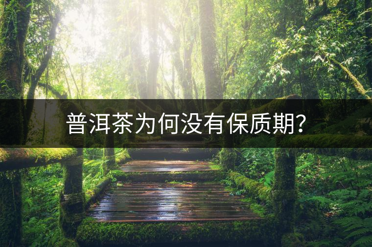 普洱茶為何沒有保質(zhì)期？