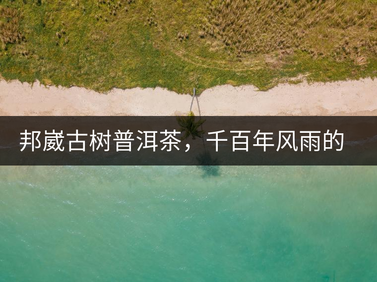 邦崴古樹普洱茶，千百年風(fēng)雨的洗禮