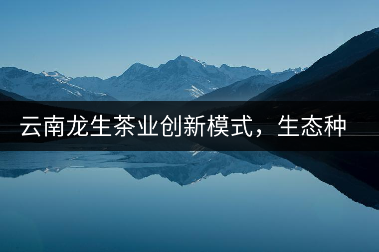 云南龍生茶業(yè)創(chuàng)新模式，生態(tài)種植