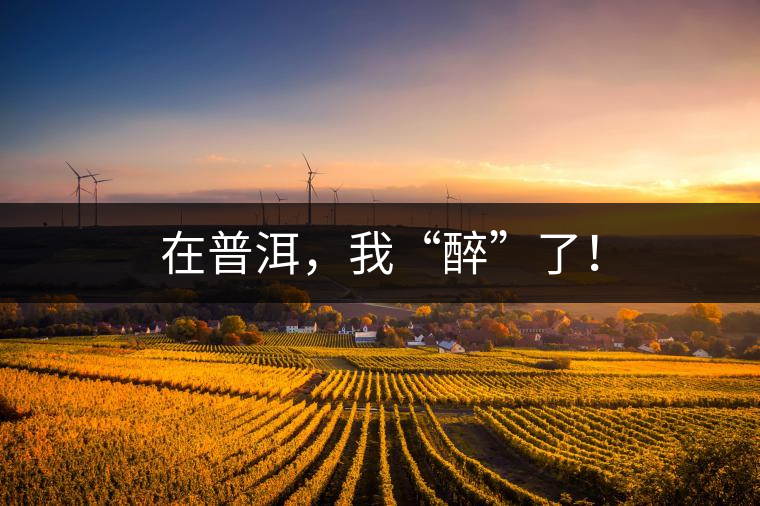 在普洱，我“醉”了！