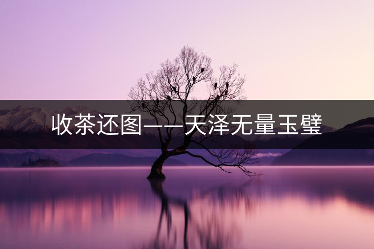 收茶還圖——天澤無量玉璧