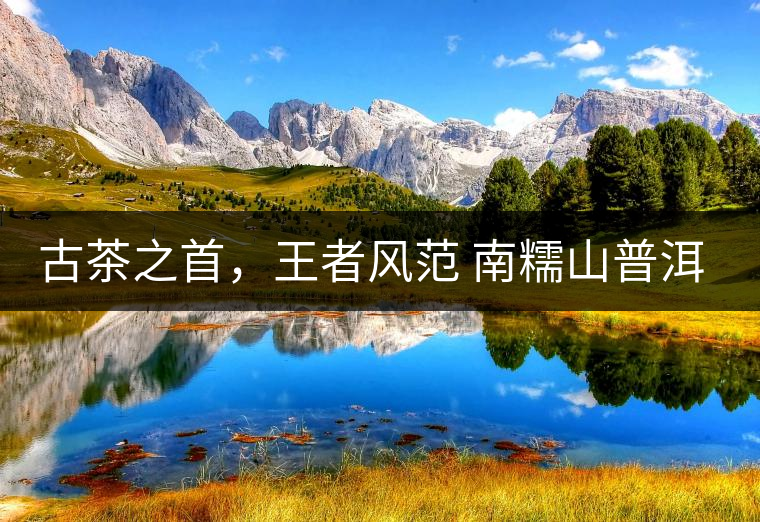 古茶之首，王者風(fēng)范 南糯山普洱茶