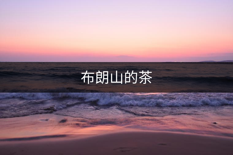 布朗山的茶 布朗山的茶