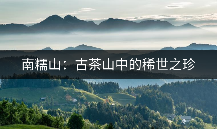 南糯山:古茶山中的稀世之珍 南糯山:古茶山中的稀世之珍