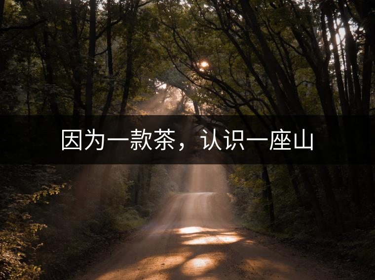 因為一款茶，認(rèn)識一座山