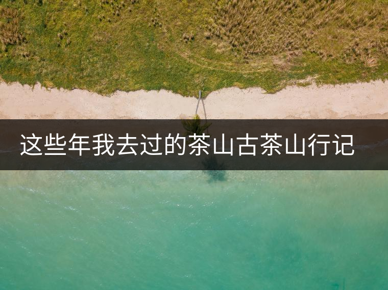 這些年我去過的茶山古茶山行記——小勐宋茶