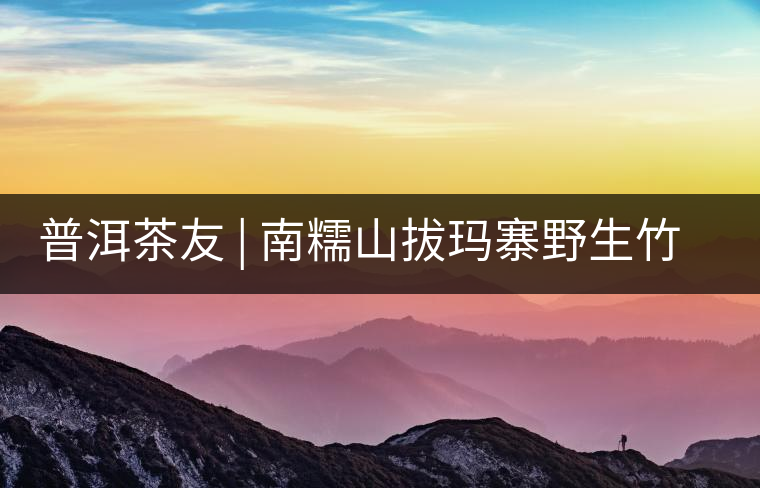 普洱茶友 | 南糯山拔瑪寨野生竹蓀給看過？