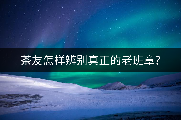 茶友怎樣辨別真正的老班章？