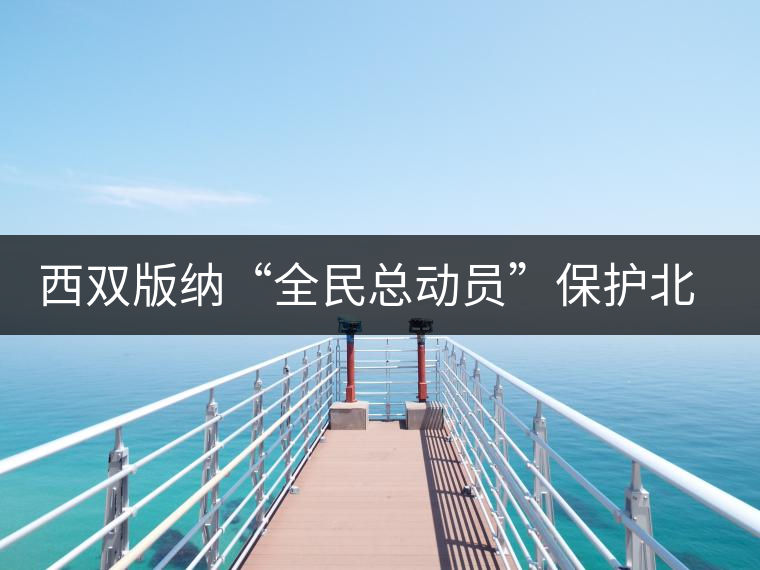 西雙版納“全民總動員”保護北回歸線唯一綠洲