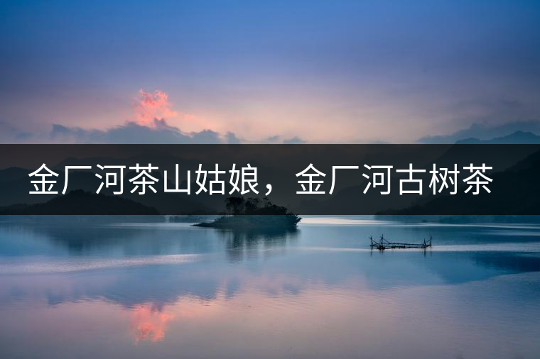 金廠河茶山姑娘，金廠河古樹茶特點(diǎn)與價(jià)格
