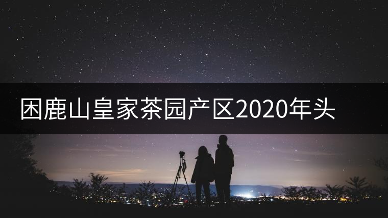 困鹿山皇家茶園產(chǎn)區(qū)2020年頭春古樹，白花林口感特點(diǎn)
