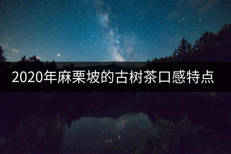 2020年麻栗坡的古樹茶口感特點(diǎn)是什么？