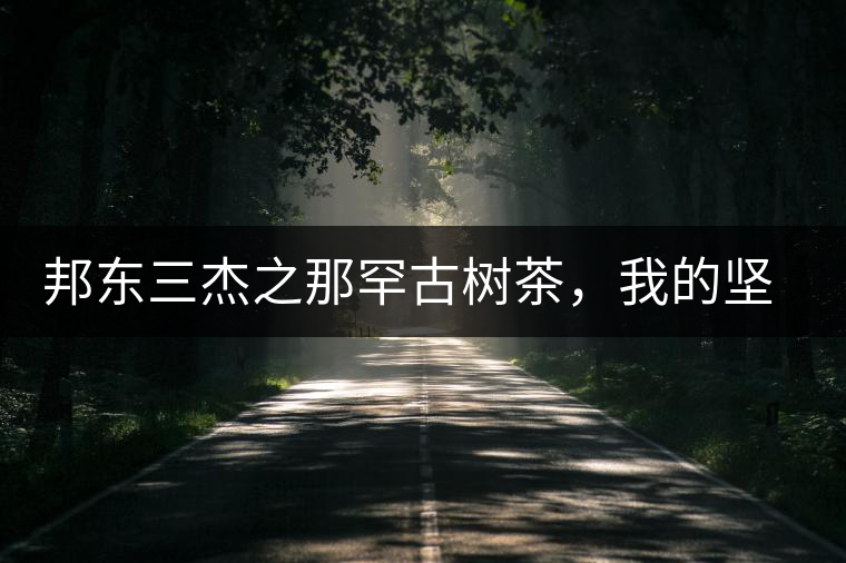 邦東三杰之那罕古樹茶，我的堅(jiān)持