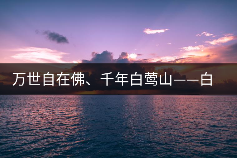 萬世自在佛、千年白鶯山——白鶯山古樹茶特點(diǎn)