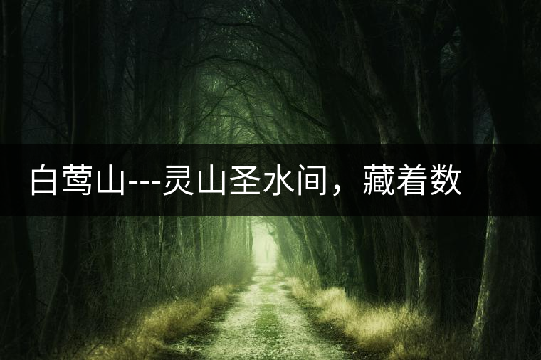 白鶯山---靈山圣水間，藏著數(shù)不盡的佛茶佳話