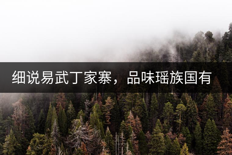 細(xì)說易武丁家寨，品味瑤族國有林古樹普洱茶