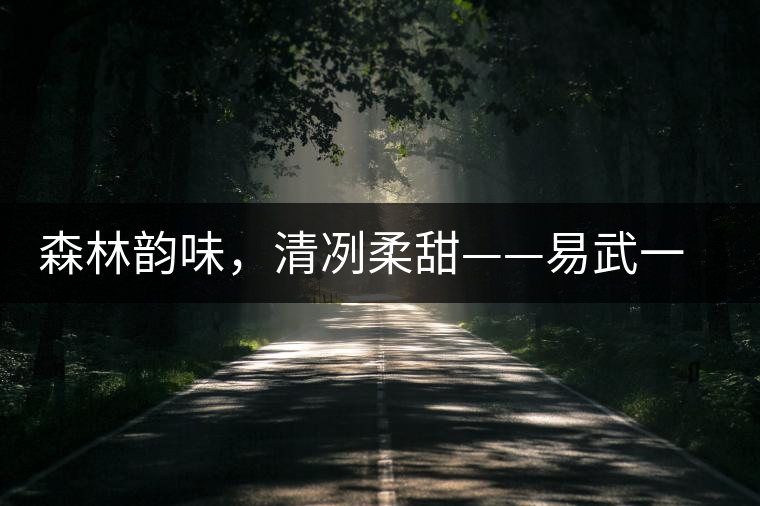 森林韻味，清冽柔甜——易武一扇磨古樹茶特點(diǎn)