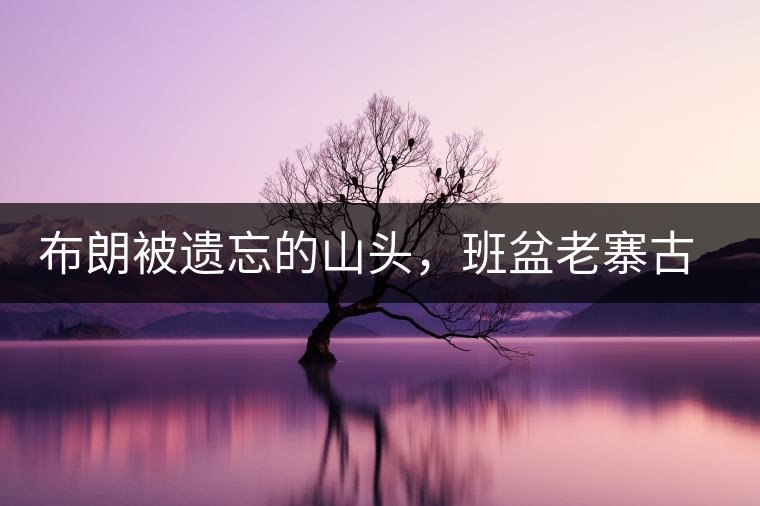 布朗被遺忘的山頭，班盆老寨古茶園介紹