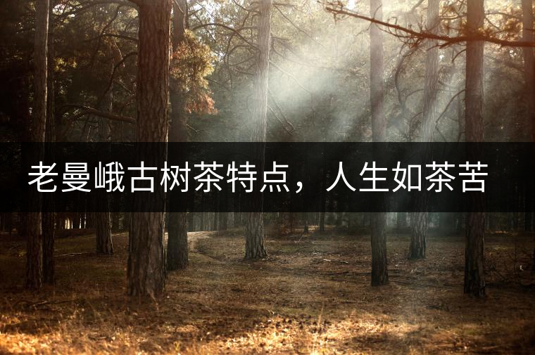 老曼峨古樹(shù)茶特點(diǎn)，人生如茶苦盡甘來(lái)