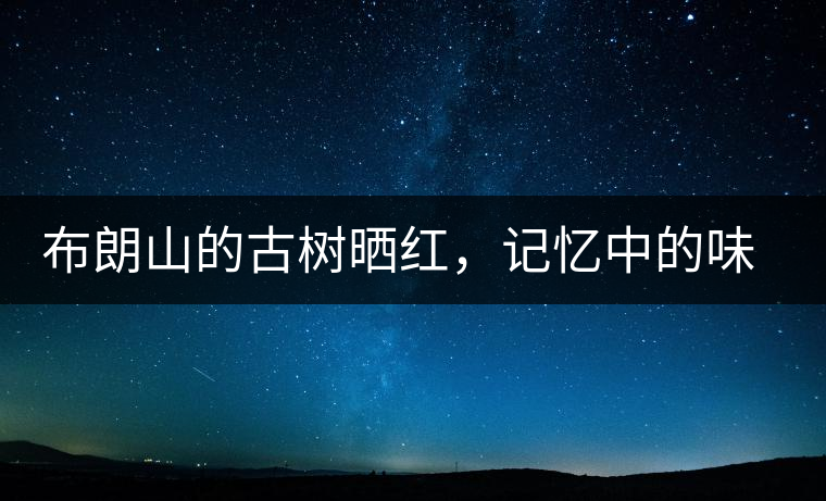 布朗山的古樹曬紅，記憶中的味道