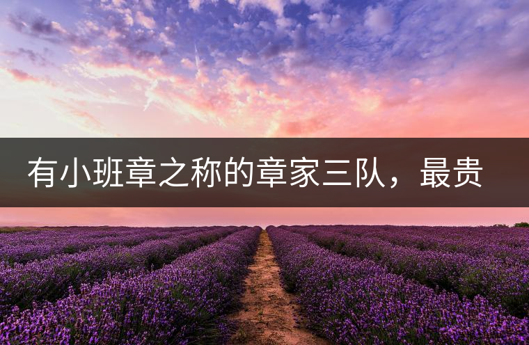 有小班章之稱的章家三隊(duì)，最貴的小樹茶