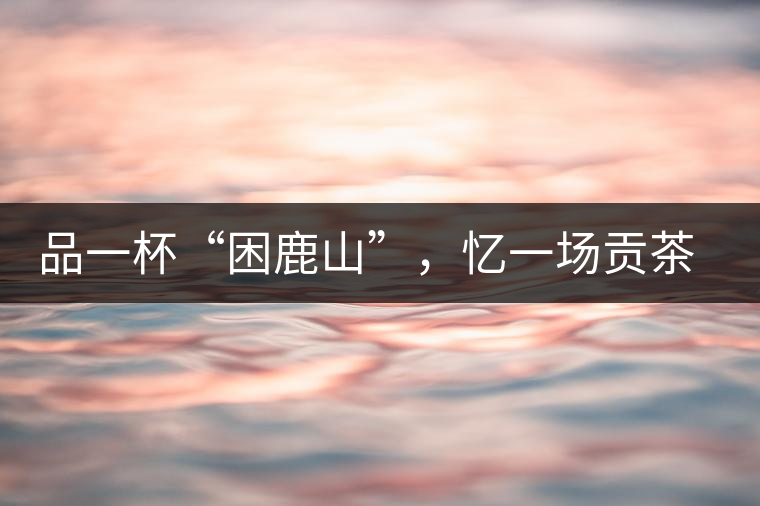 品一杯“困鹿山”，憶一場貢茶情