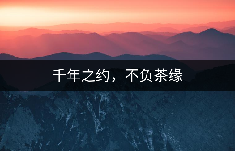 千年之約，不負(fù)茶緣