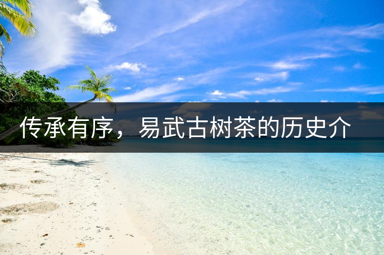 傳承有序，易武古樹茶的歷史介紹