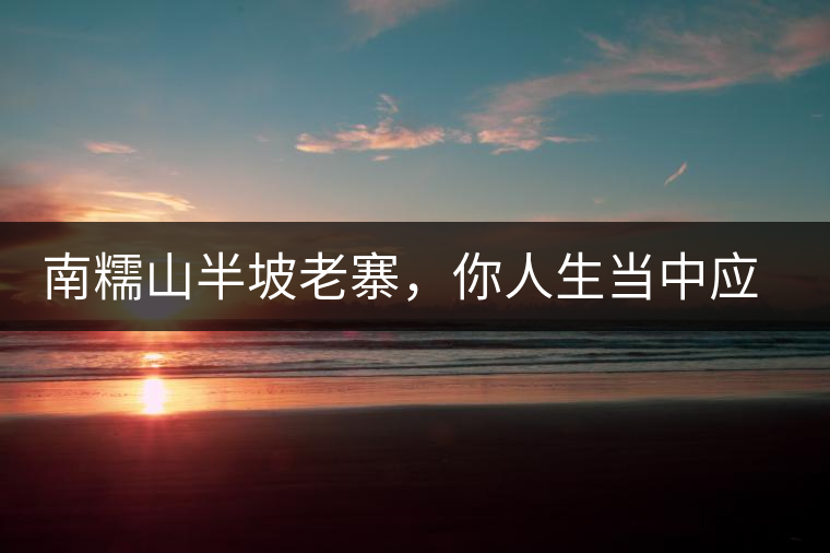 南糯山半坡老寨，你人生當中應(yīng)該入手的第一片勐海味古樹純料普洱茶