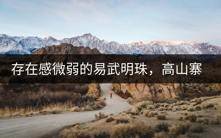 存在感微弱的易武明珠，高山寨古樹茶介紹