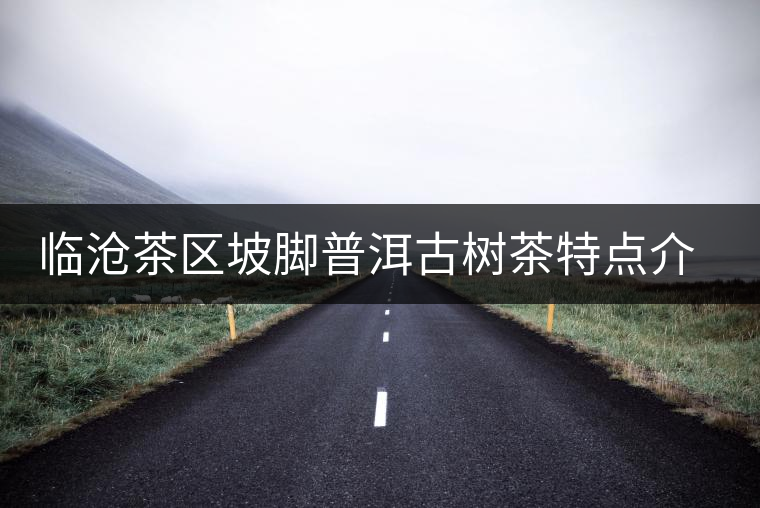 臨滄茶區(qū)坡腳普洱古樹茶特點(diǎn)介紹