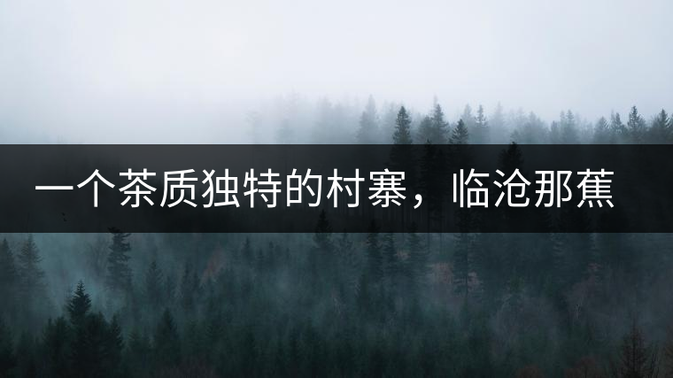 一個茶質(zhì)獨特的村寨，臨滄那蕉古樹茶介紹