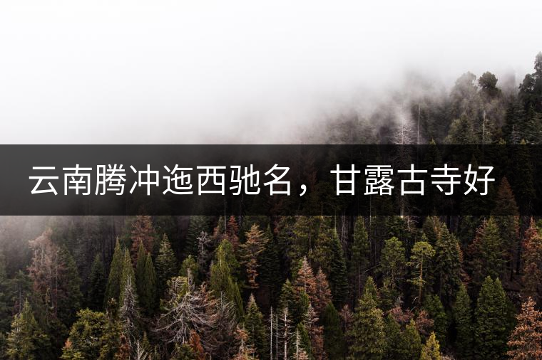 云南騰沖迤西馳名，甘露古寺好茶