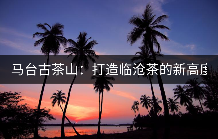 馬臺古茶山：打造臨滄茶的新高度？