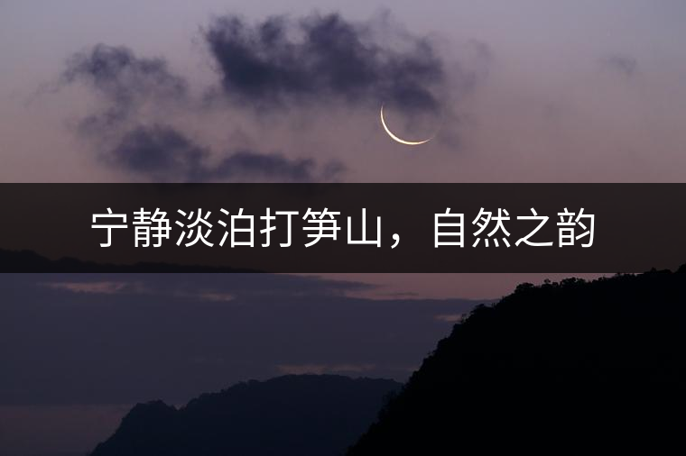 寧靜淡泊打筍山，自然之韻