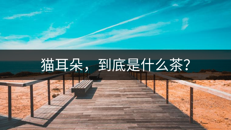 貓耳朵，到底是什么茶？