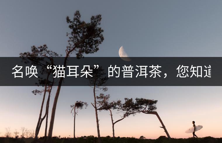名喚“貓耳朵”的普洱茶，您知道嗎、