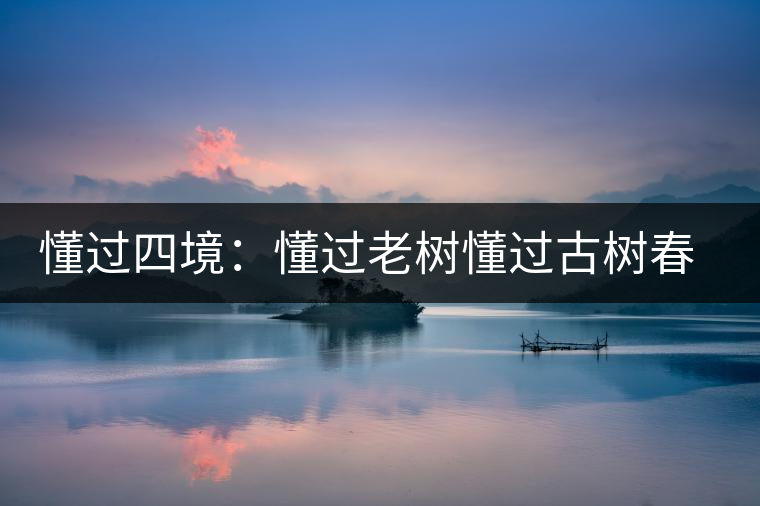 懂過(guò)四境：懂過(guò)老樹懂過(guò)古樹春秋和磨烈古樹茶