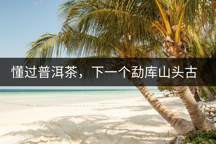 懂過普洱茶，下一個勐庫山頭古純的引爆點