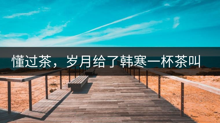 懂過(guò)茶，歲月給了韓寒一杯茶叫懂過(guò)