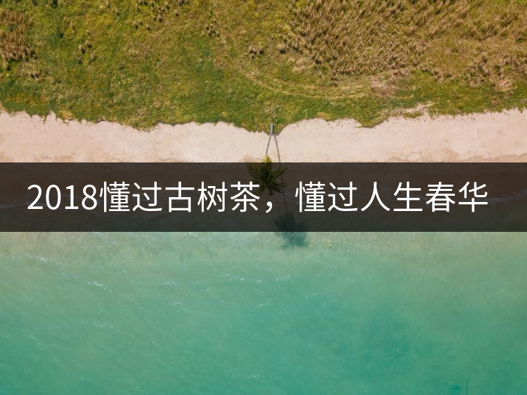 2018懂過古樹茶，懂過人生春華秋實(shí)！
