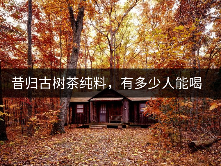 昔歸古樹(shù)茶純料，有多少人能喝到真品