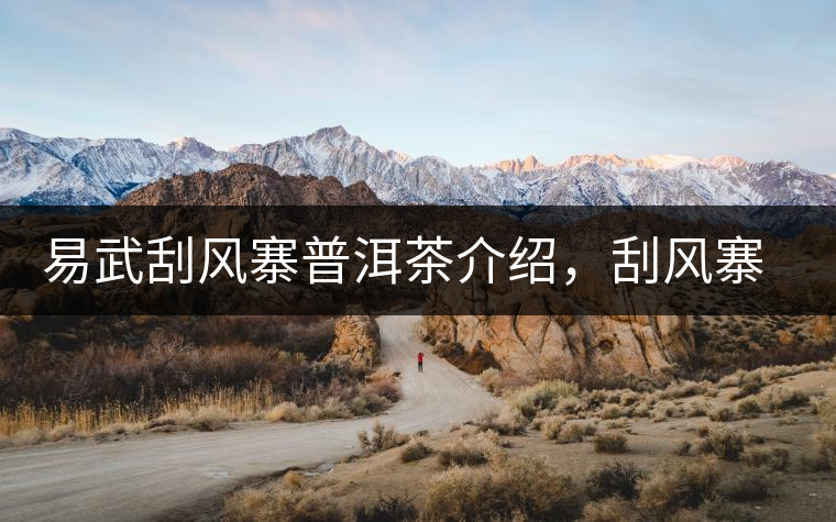 易武刮風(fēng)寨普洱茶介紹，刮風(fēng)寨古樹(shù)茶口感特點(diǎn)